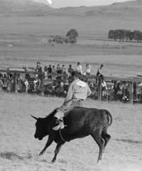 The Wild West